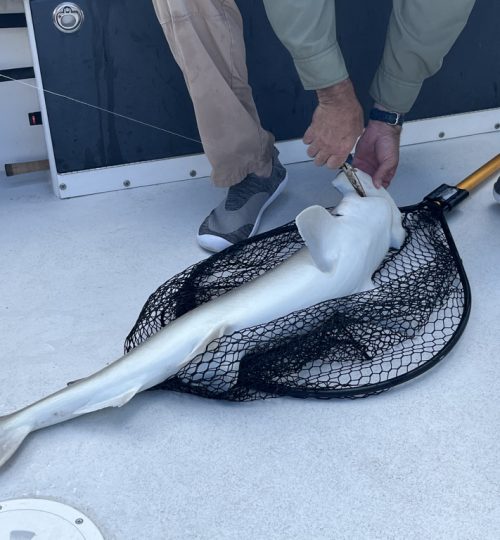 28E25798-3493-40D7-A317-671EC3C968FD_1_105_c