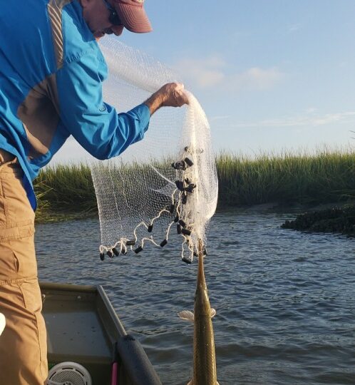 This gar fish wanted the bait in the net too!