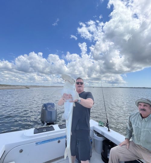 85CA7AB1-263C-4CCD-AD70-656BC7A48FF1_1_105_c