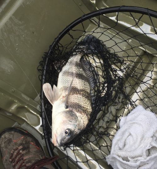 BF255740-BE9E-4D08-A33E-D0B918DC7783_1_105_c