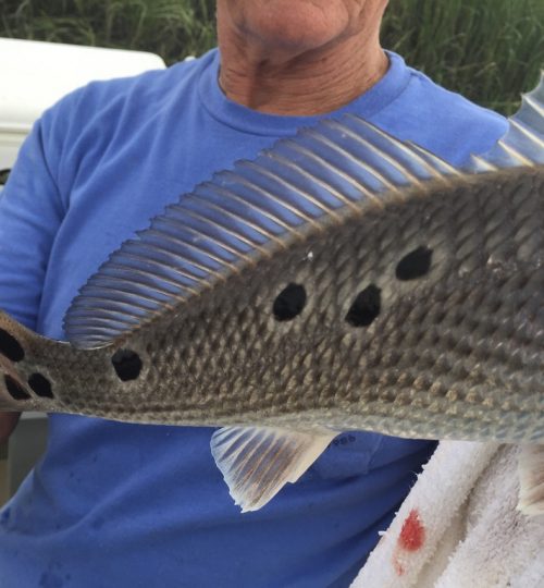 C4B86ABF-A892-4892-B5F8-51D6F9A909CD_1_105_c