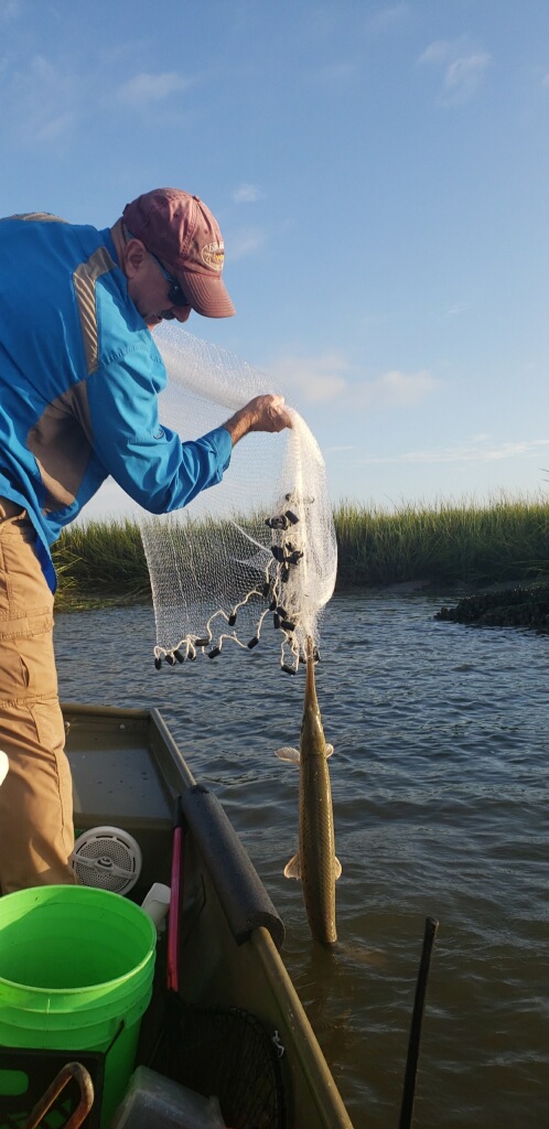 This gar fish wanted the bait in the net too!